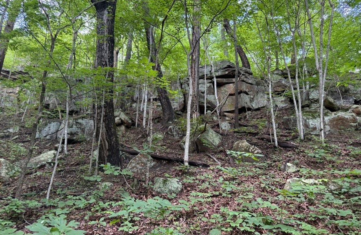 003 cool rock feature in the upper northwest part of the property