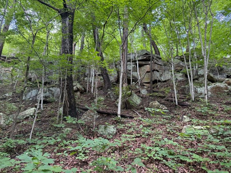 003 cool rock feature in the upper northwest part of the property