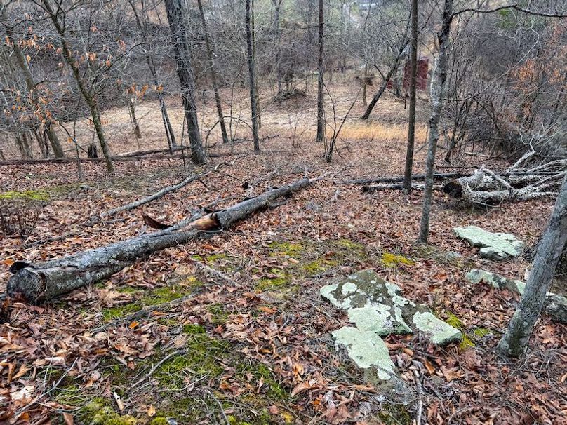 Doddridge, WV 79.08 AC Adams-81