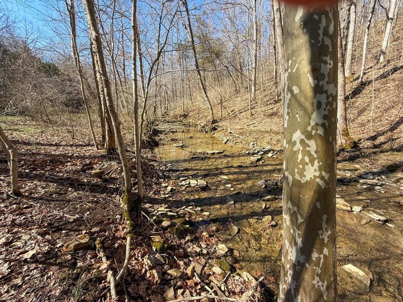 Fleming Petry 120-068