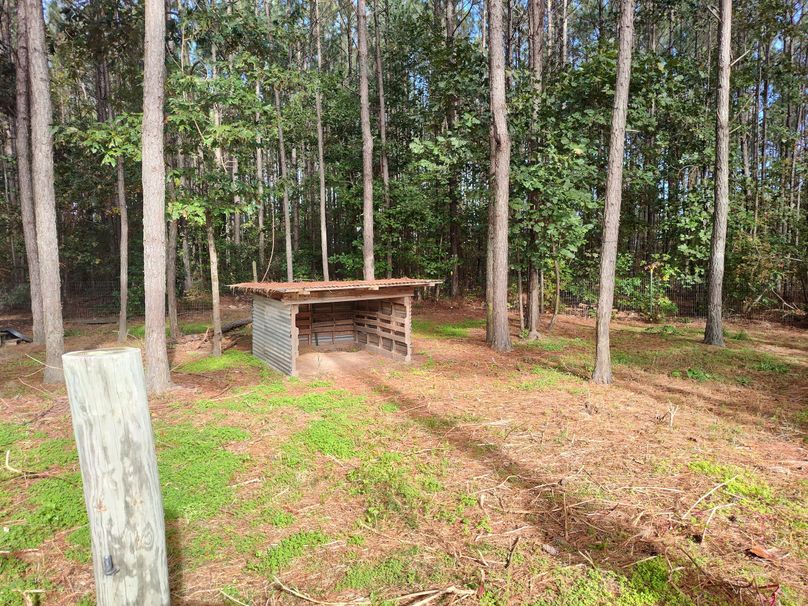 IMG_20231017_101750889_HDR