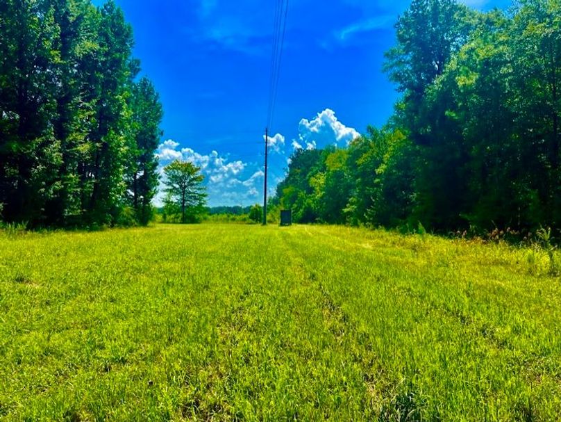 6F0FDBF1-4F41-4284-814C-C04A5C03DB29_1_105_c