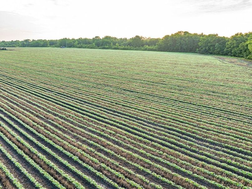 Copy of Noxubee 40 Tract 2-12