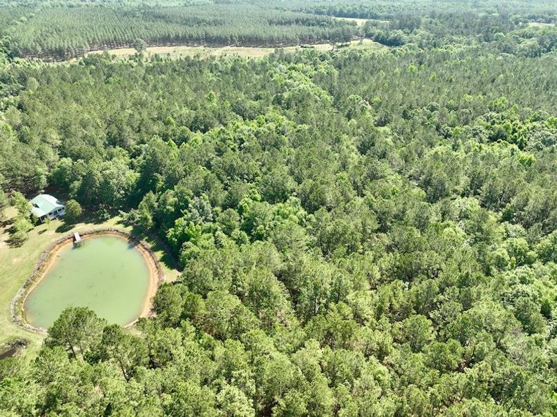 dji_fly_20260514_103246_704_1778769331755_photo