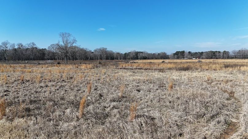 dji_fly_20260206_113446_0262_1770395755556_photo