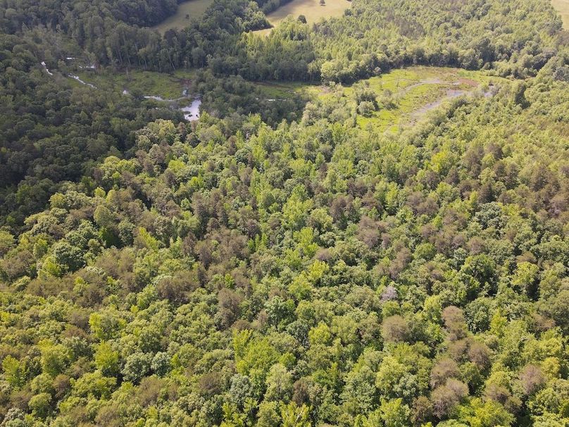 DJI_0475