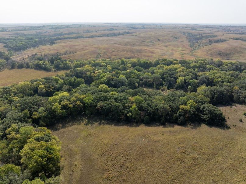 20240913-DJI_20240913104550_0089_D