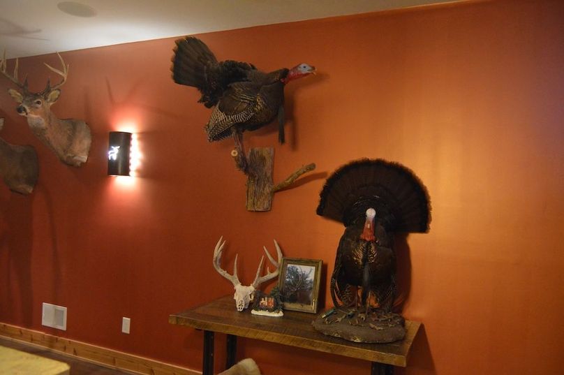 Don_t forget about the turkeys