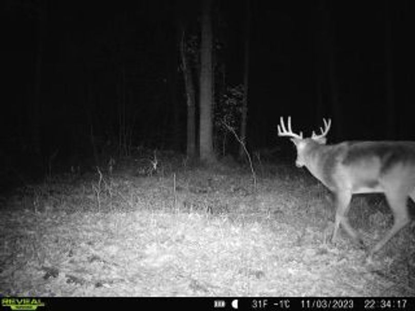 5aa01cc5-1555-4650-834d-fef4fd8cd887