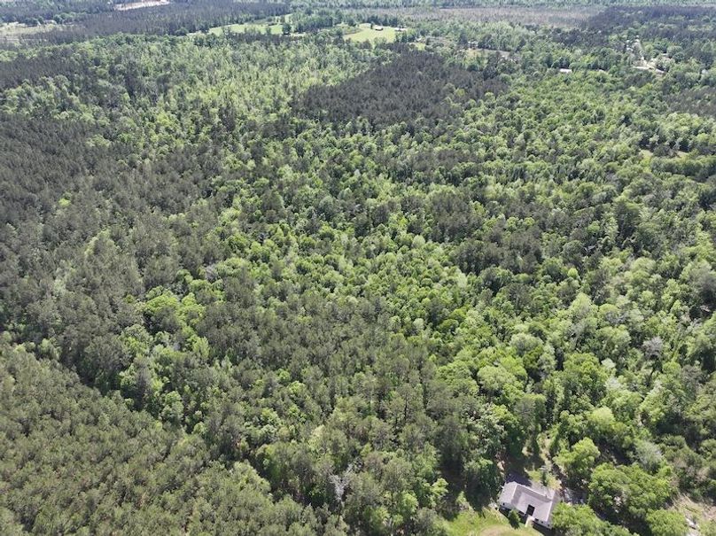 dji_fly_20260408_140602_0064_1776086823654_photo