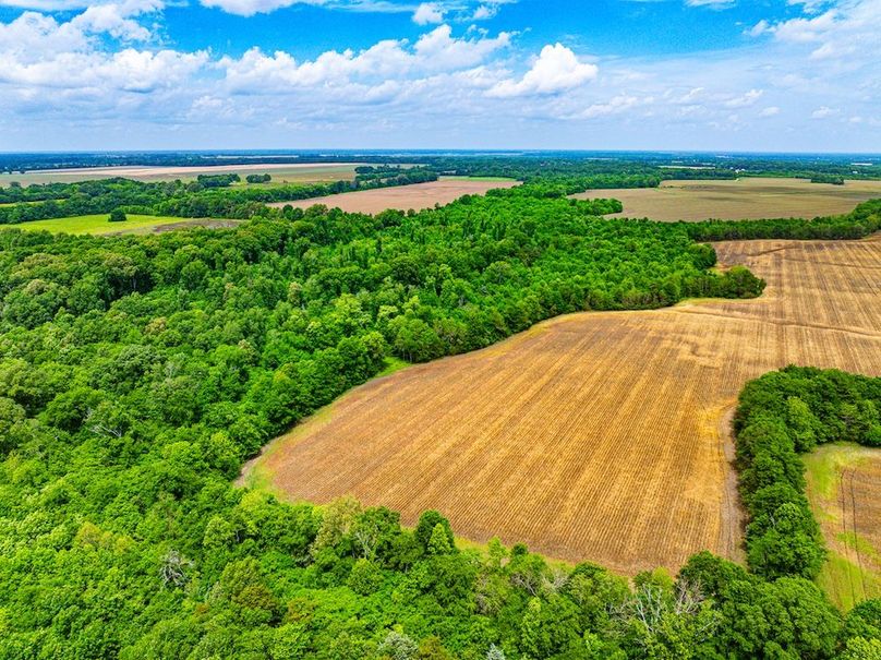 Copy of Noxubee 70 +- Tract 3-08