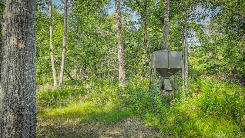 Copy of 5-20250710_100024