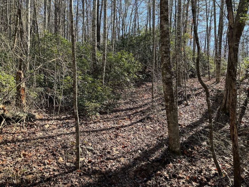 Cherokee 118.85 Harris Top-21