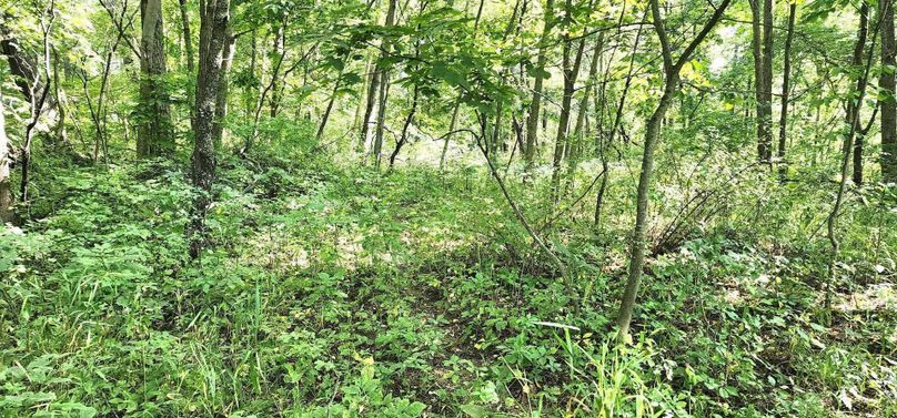 382329738_839576250996442_5230357190342857737_n