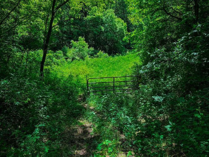 Doddridge, WV 64.69 AC Davis-34