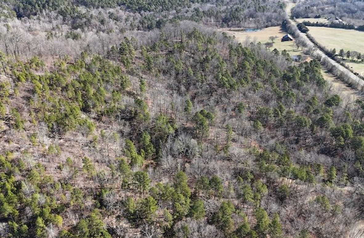 DJI_20260223233302_0371_D