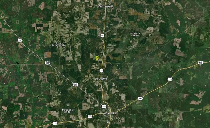 Screenshot 2026-02-09 053817