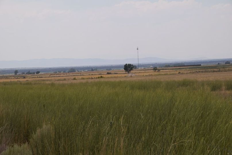 3 photo