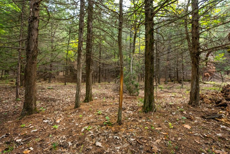 Keya Paha NE 2700_Pro Photo-138