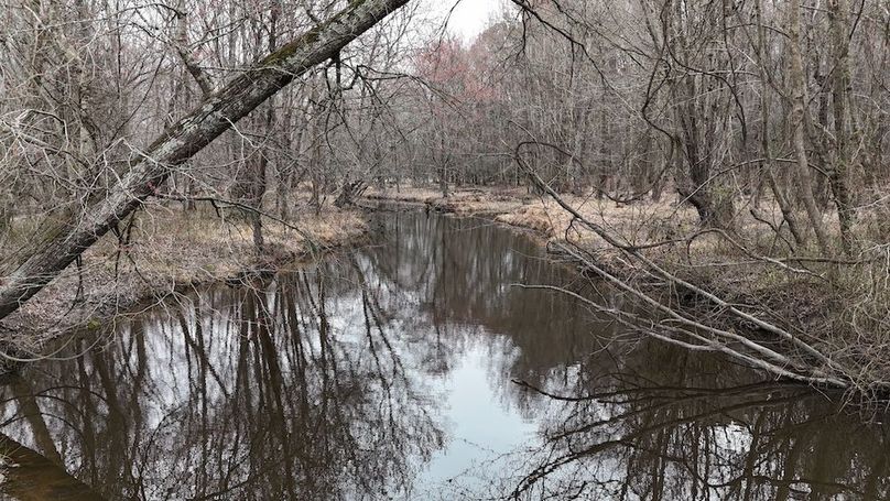 dji_fly_20260225_113604_0122_1772037652965_photo