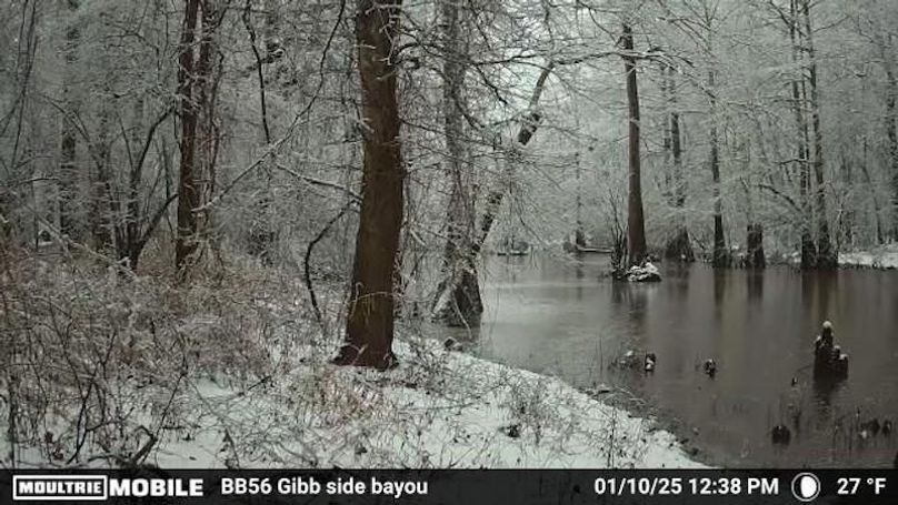 1695345-20250110183831-daily_20250110_123800_3_-3_0