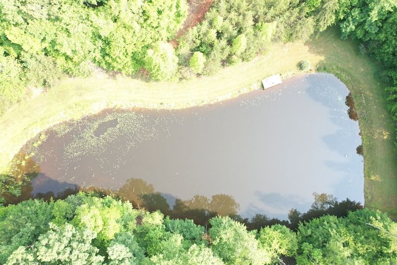 DJI_0505
