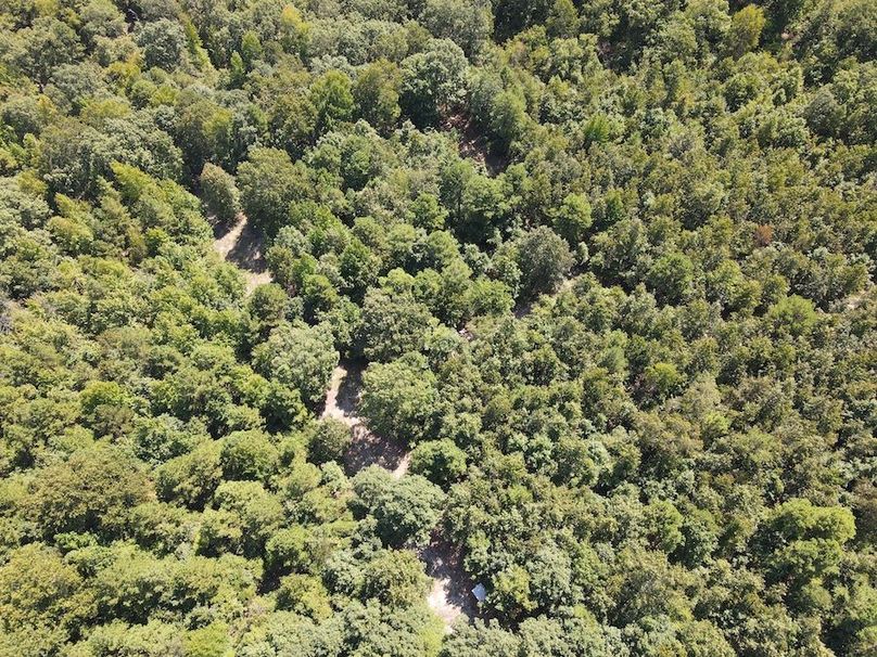 dji_fly_20250902_122618_776_1756833992845_photo