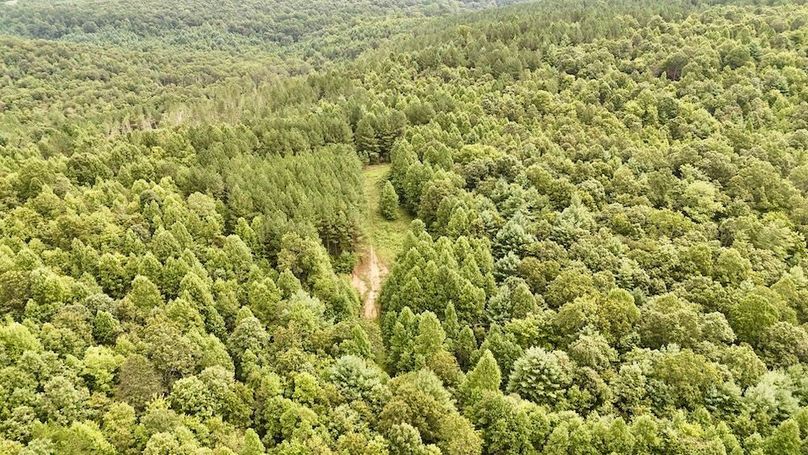 DJI_20250820164505_0079_D