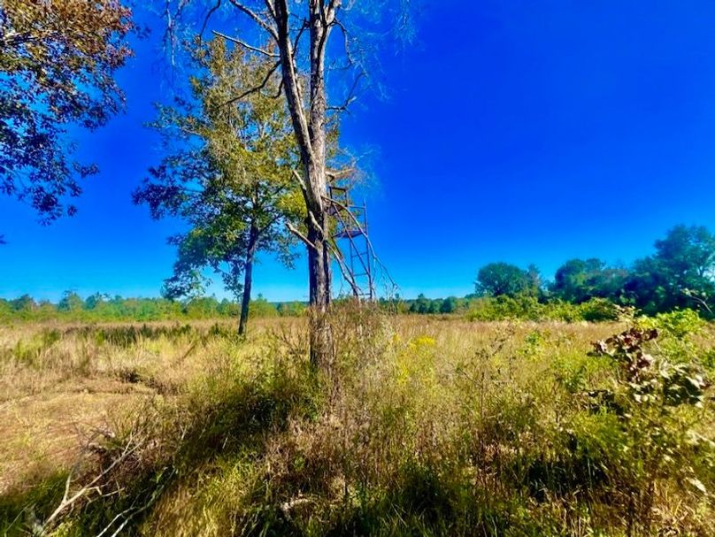 EB142F28-BF0D-4AB5-91F6-EF3D86E02919_1_105_c