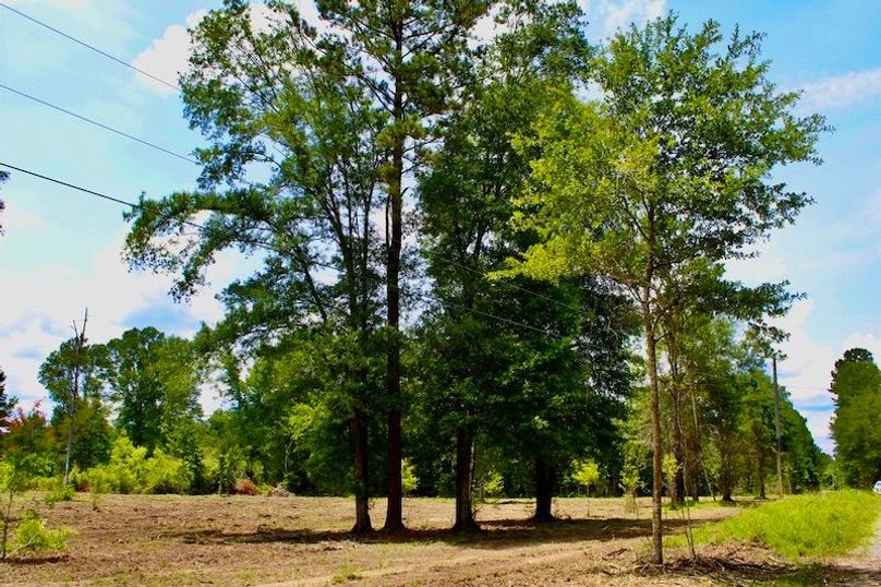 76670BFA-74C2-467A-851E-F4FFF1A914AC_1_105_c