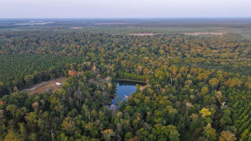 DJI_20250918071506_0049_D