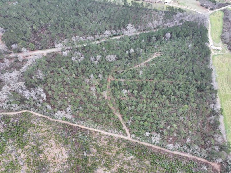 dji_fly_20260217_132316_0105_1771436918577_photo