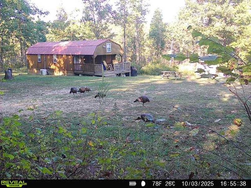 868032064864600-90-3-10032025165538-W1003263