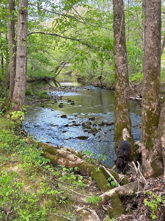 70467724646__D123F805-7931-47C2-9D3E-501FC324FF96