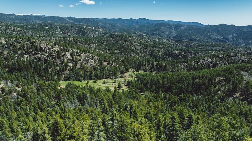 DJI_20240517125520_0077_D