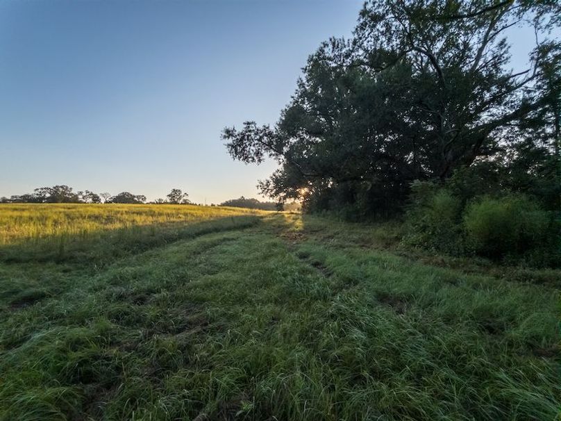 Hinds Co - 78 - Newman-24