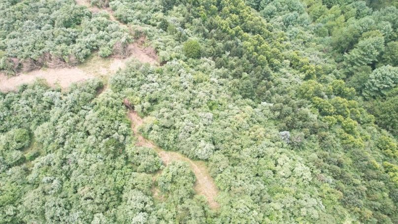 dji_fly_20250806_130124_564_1754499815178_photo