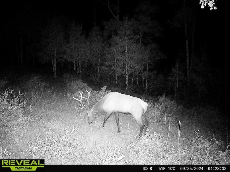 864049052055672-30-4-09252024042332-HD-W1001216 (1)