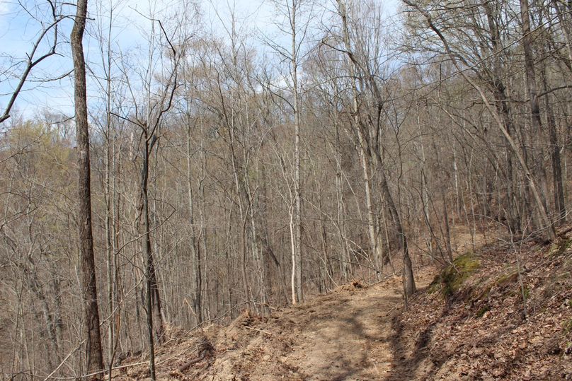 016 freshly graded access road leading up the valley along an upper bench