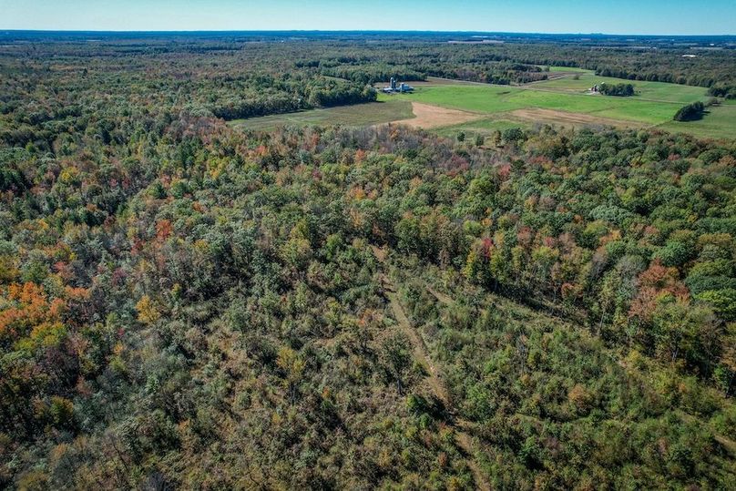 Wood 41.451, Collins -43