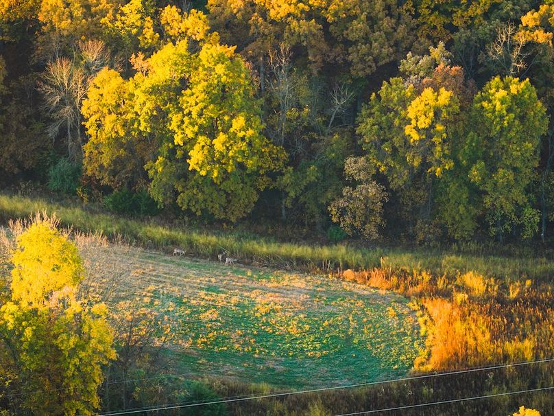 DJI_20251031080100_0112_D-HDR