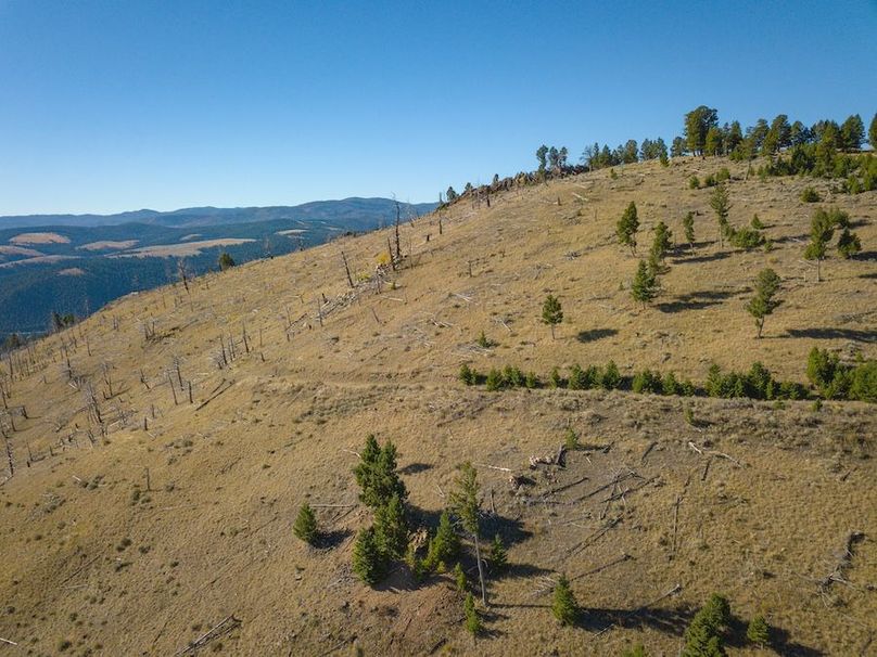 20240925-DJI_0246