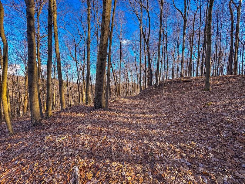 Pleasants, WV 81 AC Barron-27