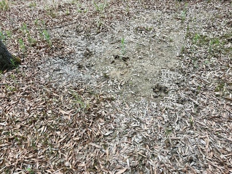 A6643ACB-06ED-40F0-BDBC-D3A12CAEEB74_1_105_c