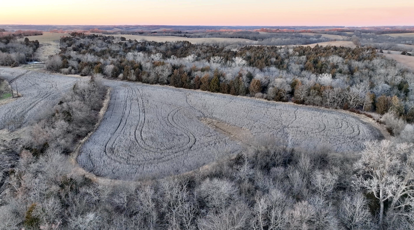 Screenshot 2026-01-06 at 8.19.36 PM