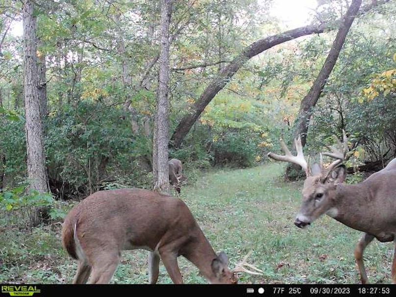 f6a7ac77-4b39-473d-828e-211af21095ea