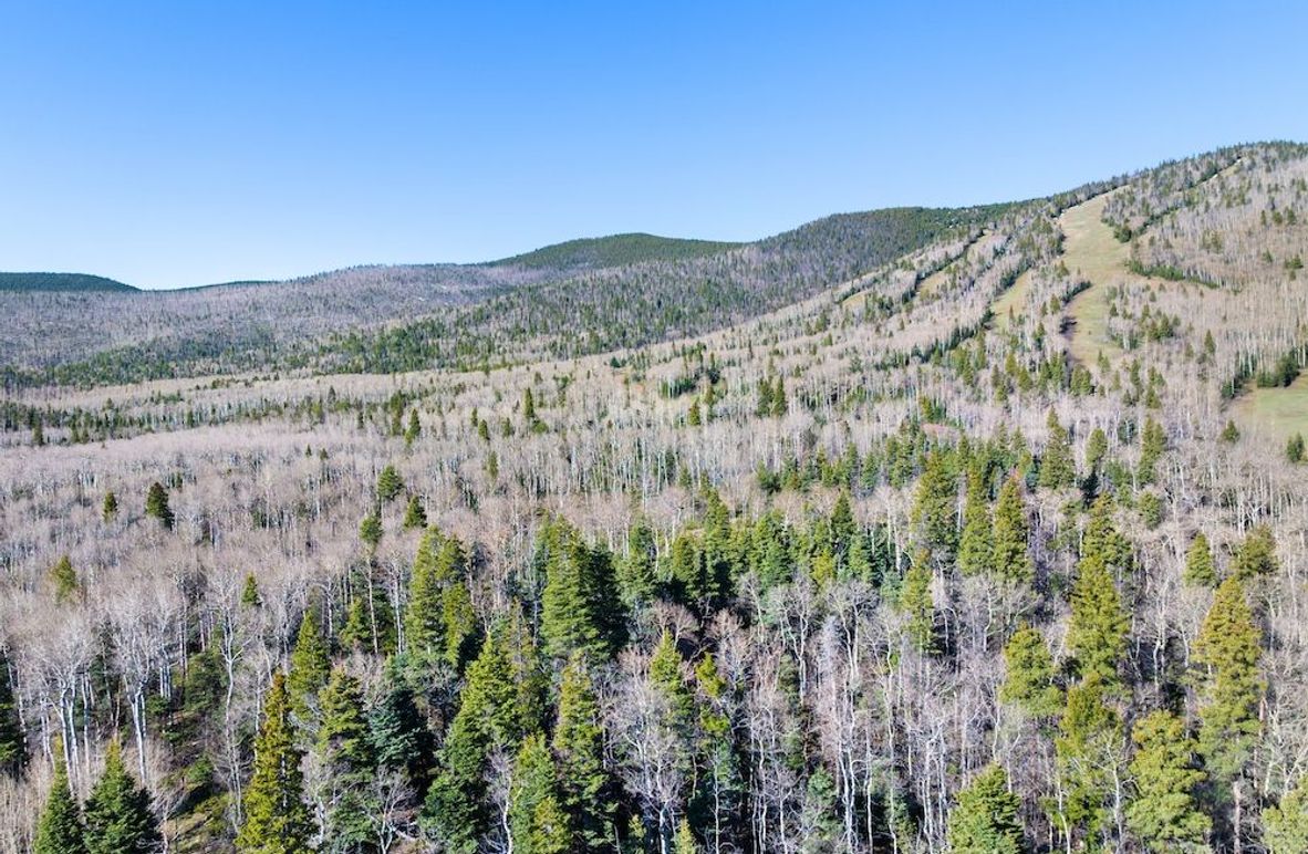 DJI_20250516081208_0031_D