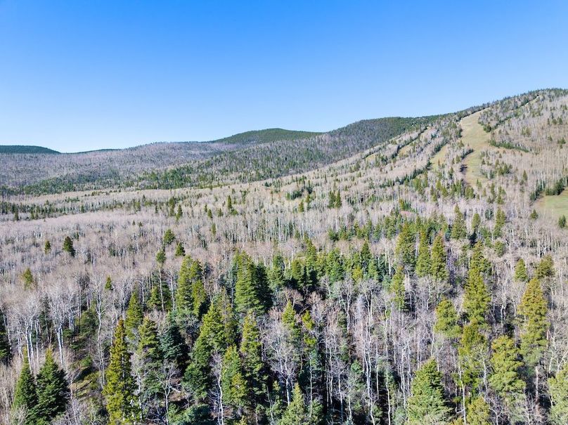 DJI_20250516081208_0031_D