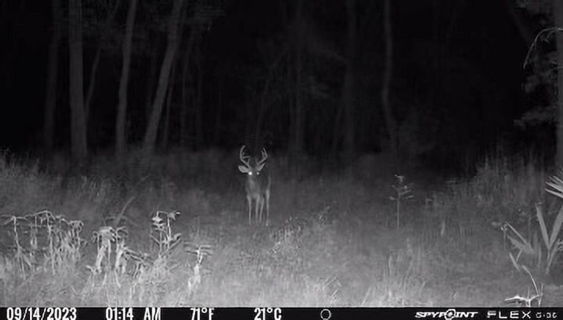 Tallahatchie 847 Trail Cam (JPG)-08