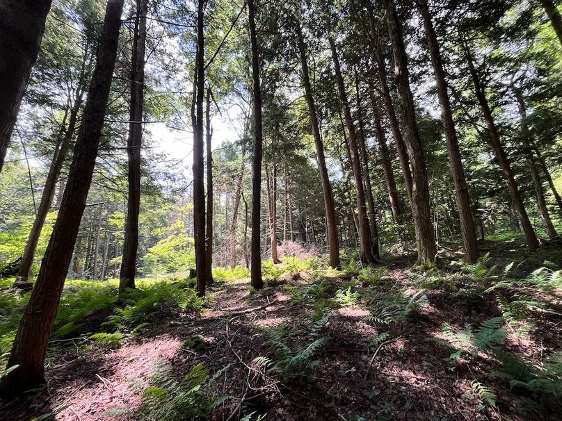 Oswego_133.72_Middleton_Photos_57